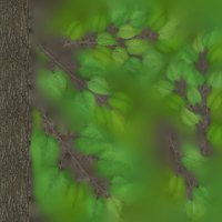 Asset preview